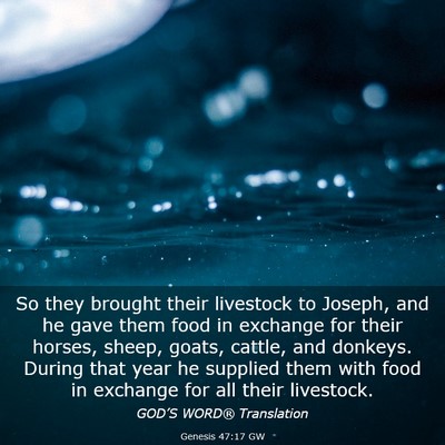Picture 03 - Genesis 47:17 GW - So they brought their livestock to Joseph, and he - Bible Verse Picture