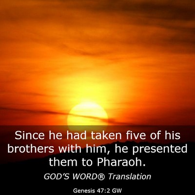 Picture 03 - Genesis 47:2 GW - Since he had taken five of his brothers with him, - Bible Verse Picture