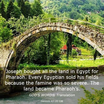 Picture 03 - Genesis 47:20 GW - Joseph bought all the land in Egypt for Pharaoh. - Bible Verse Picture