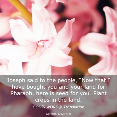 Picture 03 - Genesis 47:23 GW - Joseph said to the people, “Now that I have - Bible Verse Picture