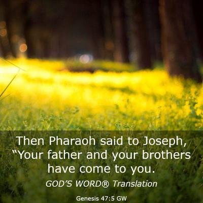 Picture 03 - Genesis 47:5 GW - Then Pharaoh said to Joseph, “Your father and - Bible Verse Picture