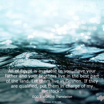 Picture 03 - Genesis 47:6 GW - All of Egypt is available to you. Have your - Bible Verse Picture