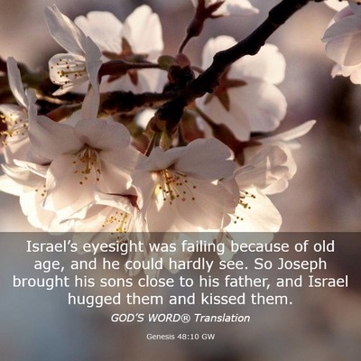 Picture 03 - Genesis 48:10 GW - Israel’s eyesight was failing because of old - Bible Verse Picture
