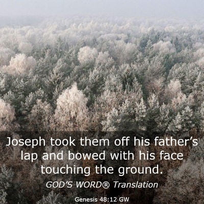 Picture 03 - Genesis 48:12 GW - Joseph took them off his father’s lap and bowed - Bible Verse Picture