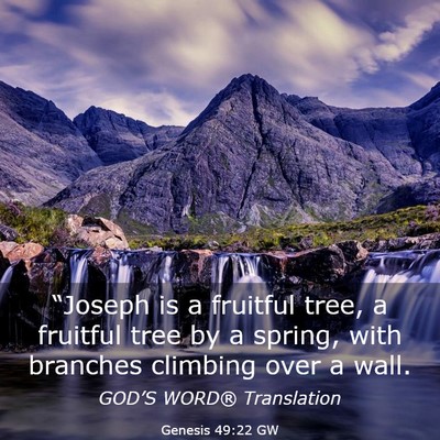 Picture 03 - Genesis 49:22 GW - “Joseph is a fruitful tree, a fruitful tree by - Bible Verse Picture