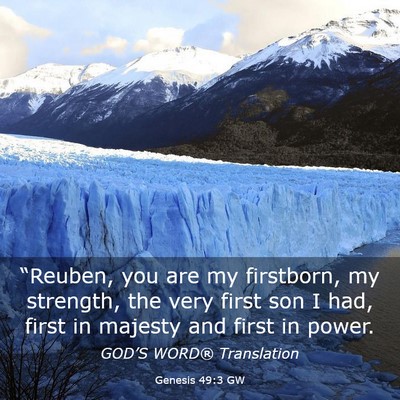 Picture 03 - Genesis 49:3 GW - “Reuben, you are my firstborn, my strength, the - Bible Verse Picture