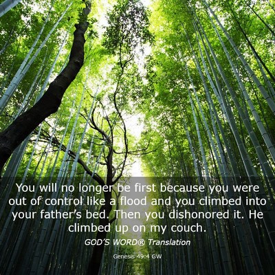 Picture 03 - Genesis 49:4 GW - You will no longer be first because you were out - Bible Verse Picture