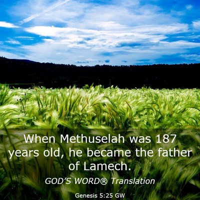Picture 03 - Genesis 5:25 GW - When Methuselah was 187 years old, he became the - Bible Verse Picture