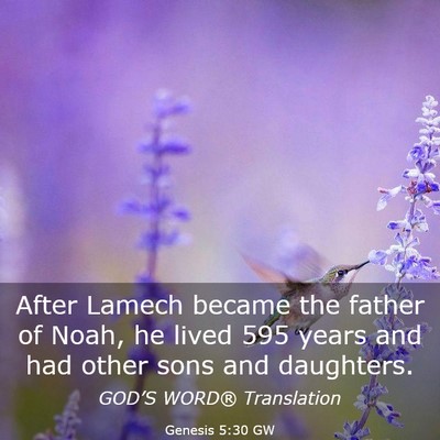 Picture 03 - Genesis 5:30 GW - After Lamech became the father of Noah, he lived - Bible Verse Picture