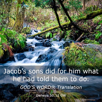 Picture 03 - Genesis 50:12 GW - Jacob’s sons did for him what he had told them - Bible Verse Picture