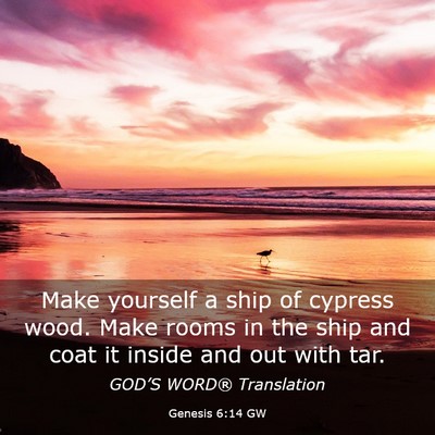 Picture 03 - Genesis 6:14 GW - Make yourself a ship of cypress wood. Make rooms - Bible Verse Picture