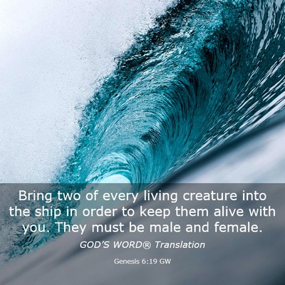 Picture 03 - Genesis 6:19 GW - Bring two of every living creature into the ship - Bible Verse Picture