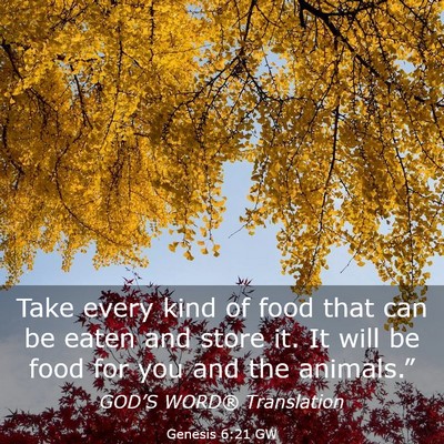 Picture 03 - Genesis 6:21 GW - Take every kind of food that can be eaten and - Bible Verse Picture