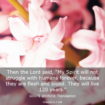 Picture 03 - Genesis 6:3 GW - Then the Lord said, “My Spirit will not - Bible Verse Picture