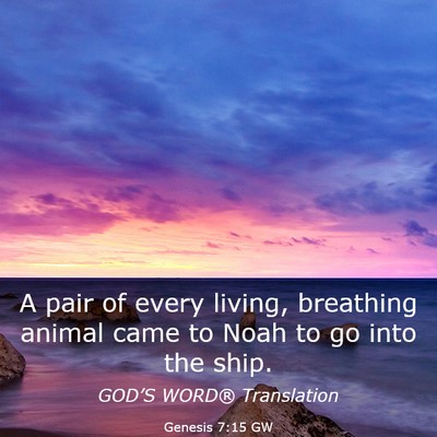 Picture 03 - Genesis 7:15 GW - A pair of every living, breathing animal came to - Bible Verse Picture