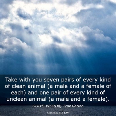 Picture 03 - Genesis 7:2 GW - Take with you seven pairs of every kind of clean - Bible Verse Picture