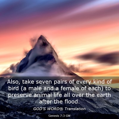 Picture 03 - Genesis 7:3 GW - Also, take seven pairs of every kind of bird (a - Bible Verse Picture
