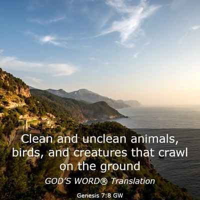 Picture 03 - Genesis 7:8 GW - Clean and unclean animals, birds, and creatures - Bible Verse Picture