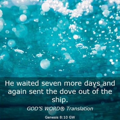 Picture 03 - Genesis 8:10 GW - He waited seven more days and again sent the dove - Bible Verse Picture