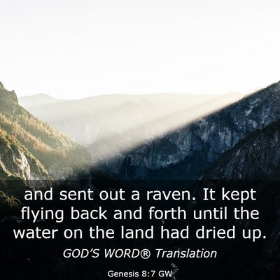 Picture 03 - Genesis 8:7 GW - and sent out a raven. It kept flying back and - Bible Verse Picture