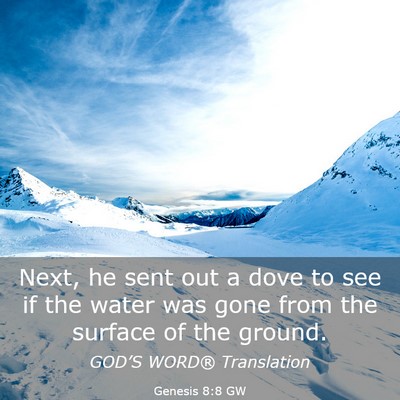 Picture 03 - Genesis 8:8 GW - Next, he sent out a dove to see if the water was - Bible Verse Picture