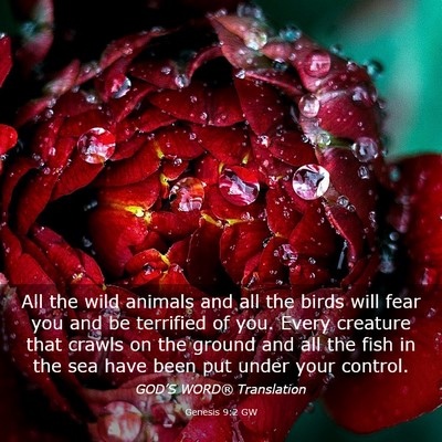 Picture 03 - Genesis 9:2 GW - All the wild animals and all the birds will fear - Bible Verse Picture