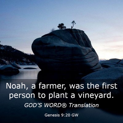 Picture 03 - Genesis 9:20 GW - Noah, a farmer, was the first person to plant a - Bible Verse Picture