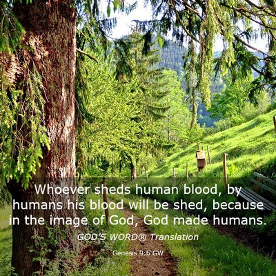 Picture 03 - Genesis 9:6 GW - Whoever sheds human blood, by humans his blood - Bible Verse Picture