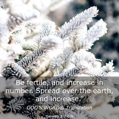 Picture 03 - Genesis 9:7 GW - Be fertile, and increase in number. Spread over - Bible Verse Picture