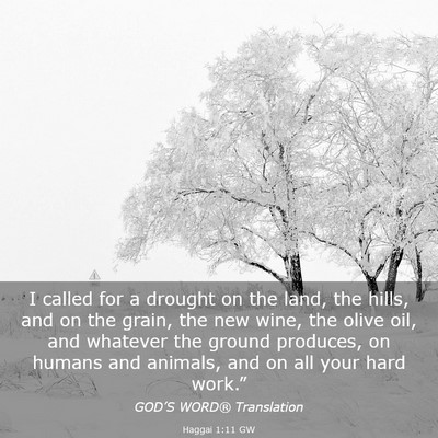 Picture 03 - Haggai 1:11 GW - I called for a drought on the land, the hills, - Bible Verse Picture