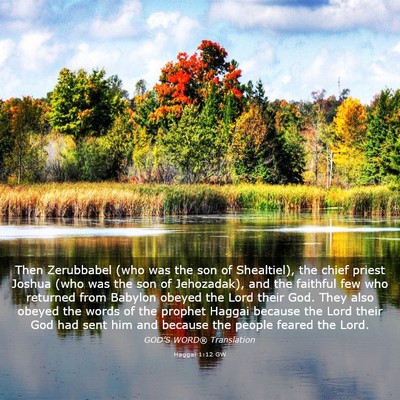 Picture 03 - Haggai 1:12 GW - Then Zerubbabel (who was the son of Shealtiel), - Bible Verse Picture