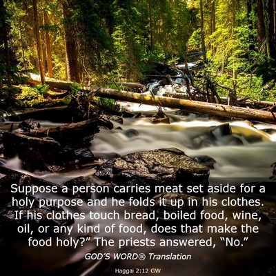 Picture 03 - Haggai 2:12 GW - Suppose a person carries meat set aside for a - Bible Verse Picture