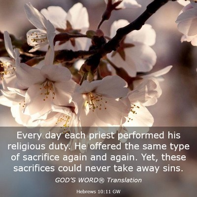 Picture 03 - Hebrews 10:11 GW - Every day each priest performed his religious - Bible Verse Picture
