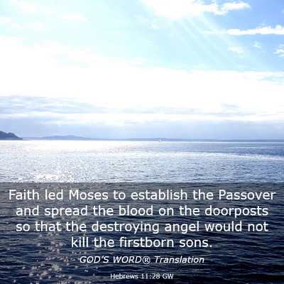 Picture 03 - Hebrews 11:28 GW - Faith led Moses to establish the Passover and - Bible Verse Picture