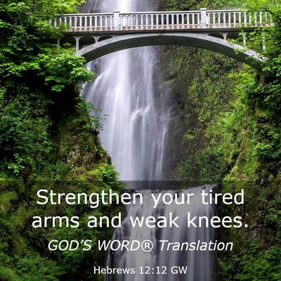 Picture 03 - Hebrews 12:12 GW - Strengthen your tired arms and weak - Bible Verse Picture