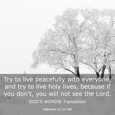 Picture 03 - Hebrews 12:14 GW - Try to live peacefully with everyone, and try to - Bible Verse Picture
