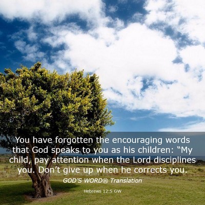 Picture 03 - Hebrews 12:5 GW - You have forgotten the encouraging words that God - Bible Verse Picture