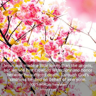 Picture 03 - Hebrews 2:9 GW - Jesus was made a little lower than the angels, - Bible Verse Picture