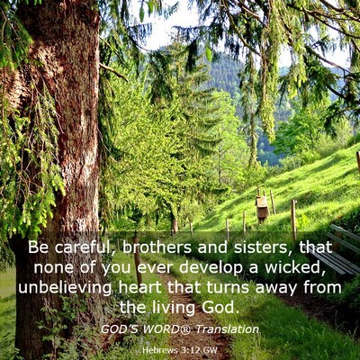 Picture 03 - Hebrews 3:12 GW - Be careful, brothers and sisters, that none of - Bible Verse Picture