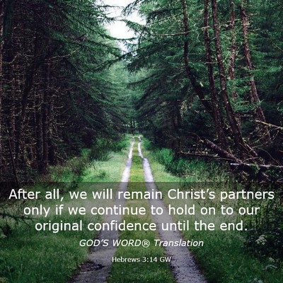 Picture 03 - Hebrews 3:14 GW - After all, we will remain Christ’s partners - Bible Verse Picture