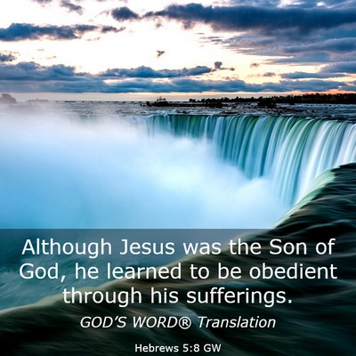 Picture 03 - Hebrews 5:8 GW - Although Jesus was the Son of God, he learned to - Bible Verse Picture