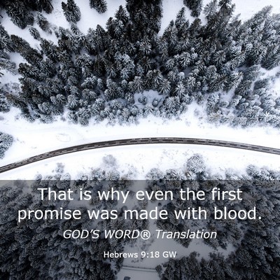 Picture 03 - Hebrews 9:18 GW - That is why even the first promise was made with - Bible Verse Picture