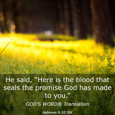 Picture 03 - Hebrews 9:20 GW - He said, “Here is the blood that seals the - Bible Verse Picture