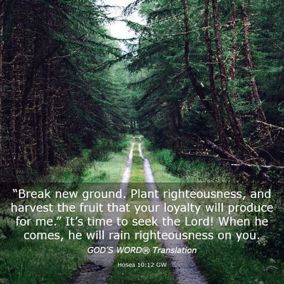 Picture 03 - Hosea 10:12 GW - “Break new ground. Plant righteousness, and - Bible Verse Picture