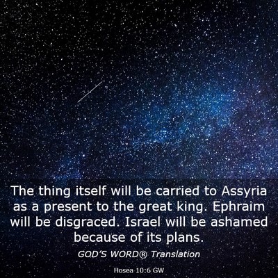 Picture 03 - Hosea 10:6 GW - The thing itself will be carried to Assyria as a - Bible Verse Picture