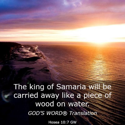 Picture 03 - Hosea 10:7 GW - The king of Samaria will be carried away like a - Bible Verse Picture