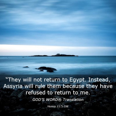 Picture 03 - Hosea 11:5 GW - “They will not return to Egypt. Instead, - Bible Verse Picture