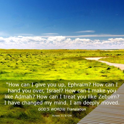 Picture 03 - Hosea 11:8 GW - “How can I give you up, Ephraim? How can I hand - Bible Verse Picture