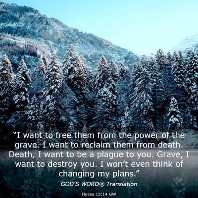 Picture 03 - Hosea 13:14 GW - “I want to free them from the power of the - Bible Verse Picture