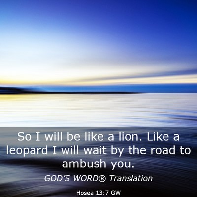 Picture 03 - Hosea 13:7 GW - So I will be like a lion. Like a leopard I will - Bible Verse Picture
